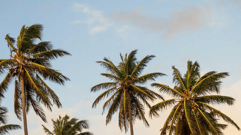 Cyber Security - professional stock photography