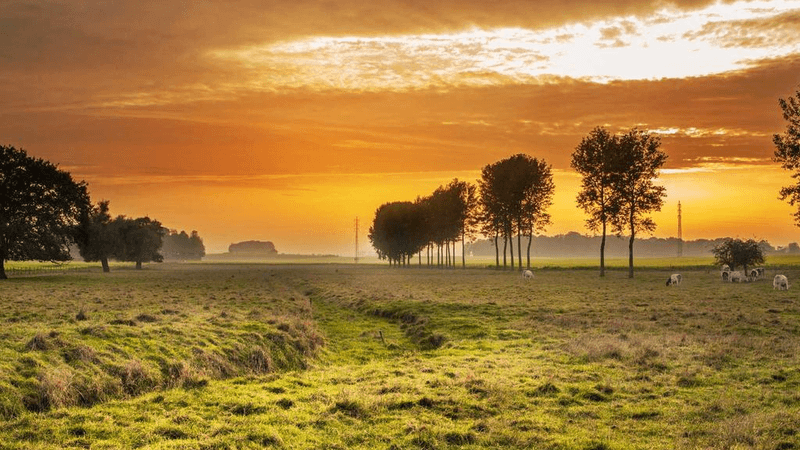 Data Center - professional stock photography