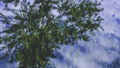 Database - professional stock photography