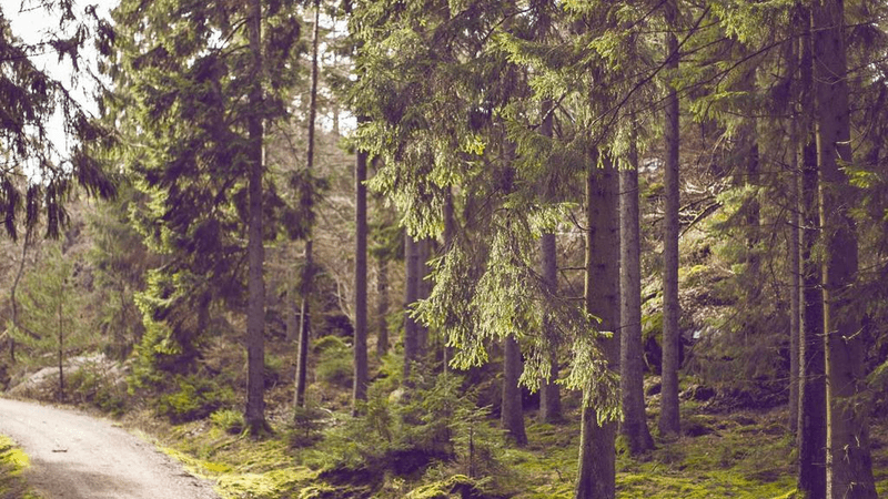 Drone - professional stock photography