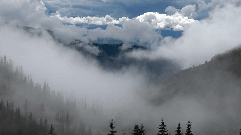 Drone - professional stock photography