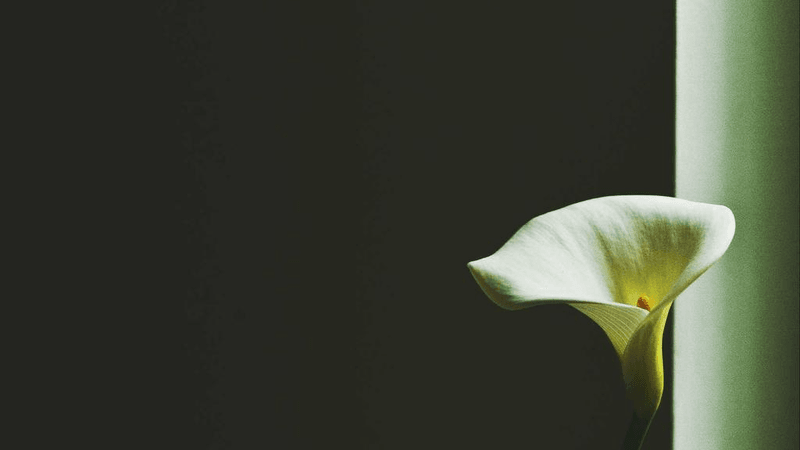 Iot Device - professional stock photography